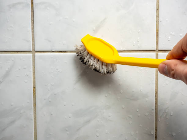 Best Best Mold Removal Companies  in Springmont, PA