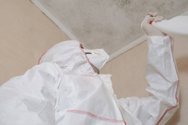 Best Home Mold Removal  in Springmont, PA