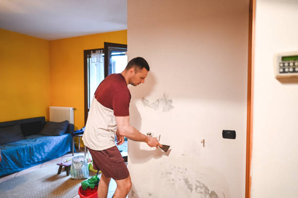 Office Mold Removal Services in Springmont, PA